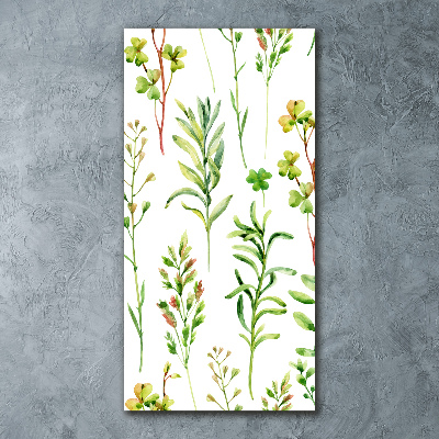 Quadro stampa su vetro acrilico verticale Erbacce ed erbe aromatiche