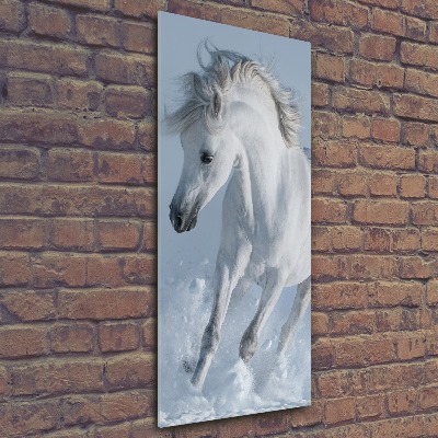 Quadro in vetro acrilico verticale Un cavallo bianco al galoppo
