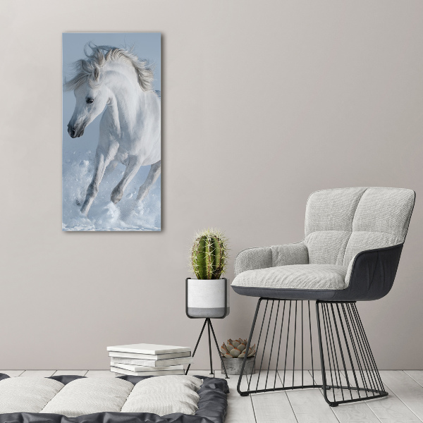 Quadro in vetro acrilico verticale Un cavallo bianco al galoppo