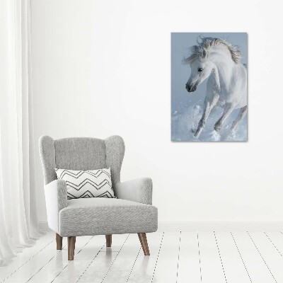 Quadro in vetro acrilico verticale Un cavallo bianco al galoppo