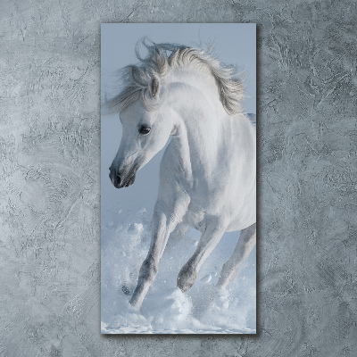 Quadro in vetro acrilico verticale Un cavallo bianco al galoppo