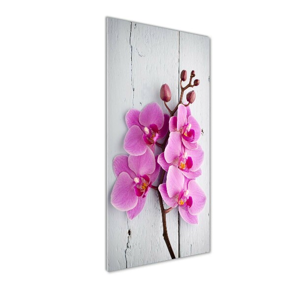 Quadro vetro acrilico verticale Orchidea rosa