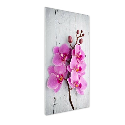 Quadro vetro acrilico verticale Orchidea rosa