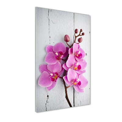Quadro vetro acrilico verticale Orchidea rosa