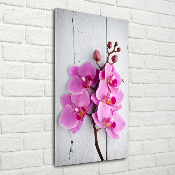 Quadro vetro acrilico verticale Orchidea rosa