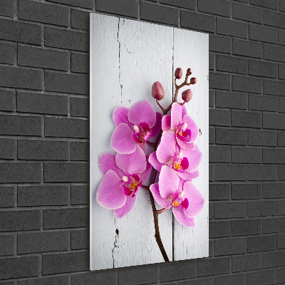 Quadro vetro acrilico verticale Orchidea rosa