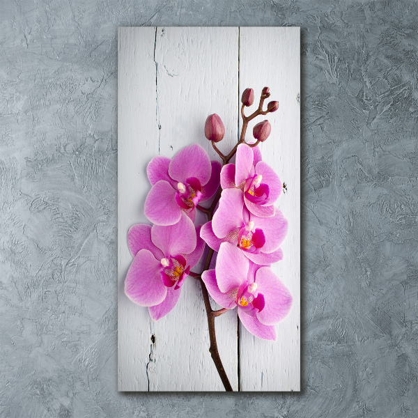 Quadro vetro acrilico verticale Orchidea rosa
