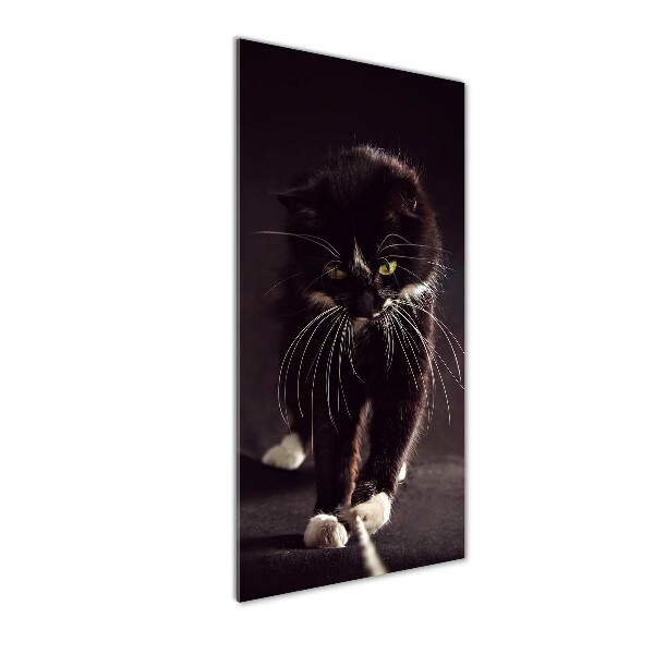 Quadro vetro acrilico verticale Gatto nero