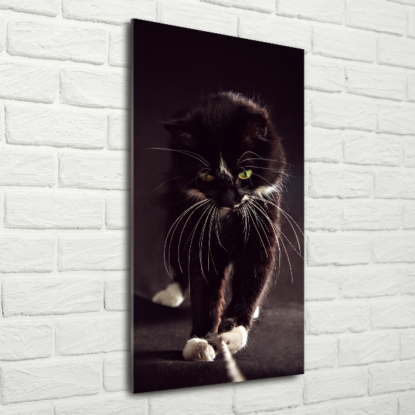 Quadro vetro acrilico verticale Gatto nero