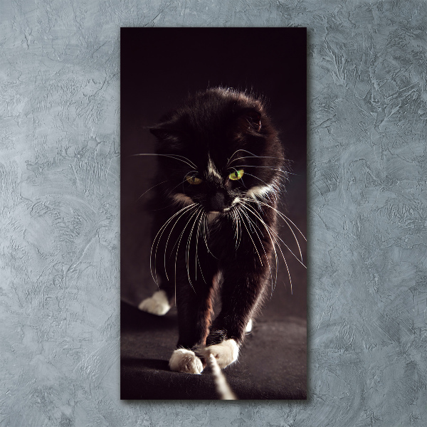 Quadro vetro acrilico verticale Gatto nero