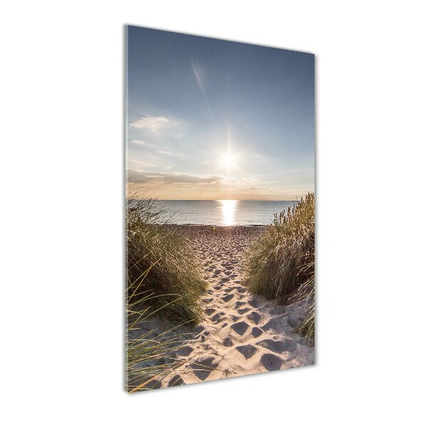 Quadro in vetro acrilico verticale Dune costiere