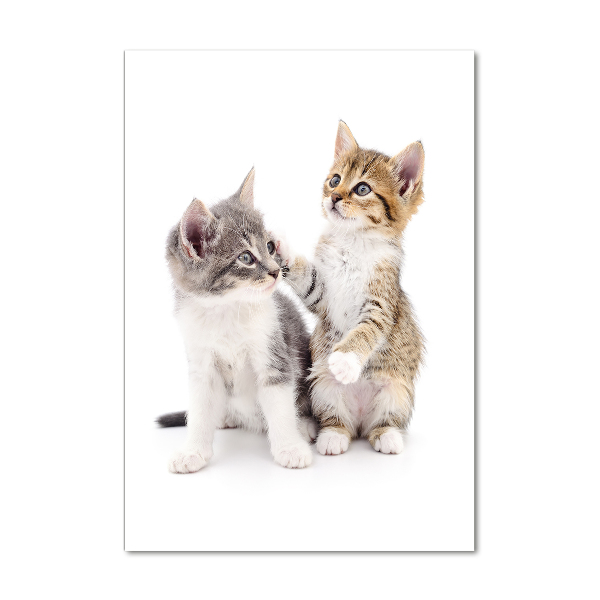 Quadro in vetro acrilico verticale Due gattini