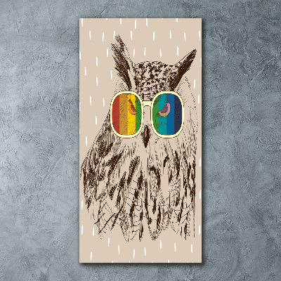 Quadro acrilico verticale Gufi con gli occhiali