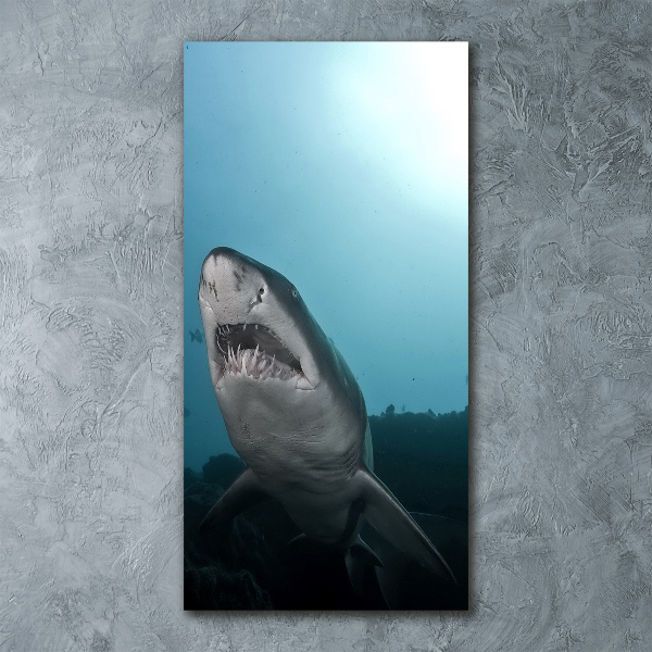 Quadro acrilico verticale Grande squalo