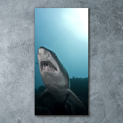 Quadro acrilico verticale Grande squalo