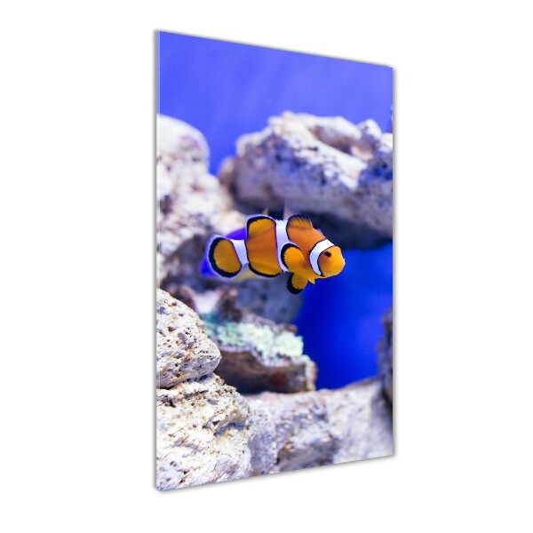 Quadro vetro acrilico verticale Nemo il pesce