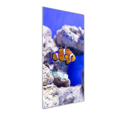 Quadro vetro acrilico verticale Nemo il pesce