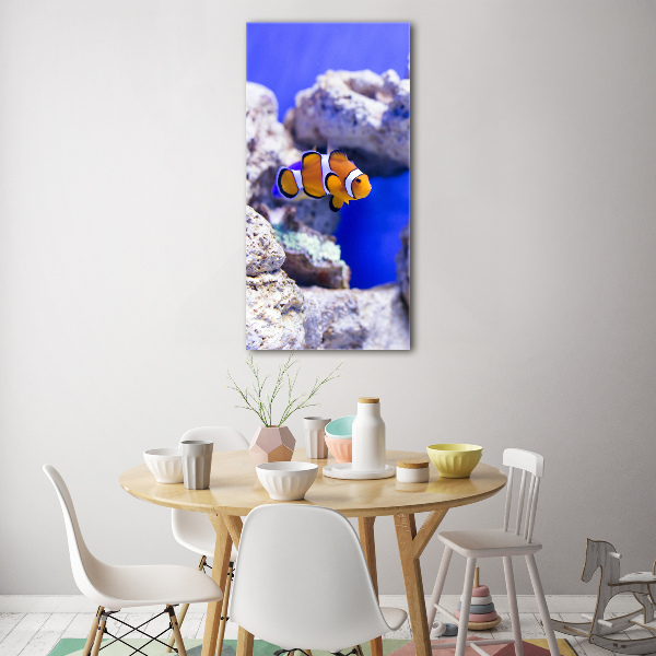 Quadro vetro acrilico verticale Nemo il pesce
