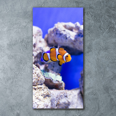 Quadro vetro acrilico verticale Nemo il pesce