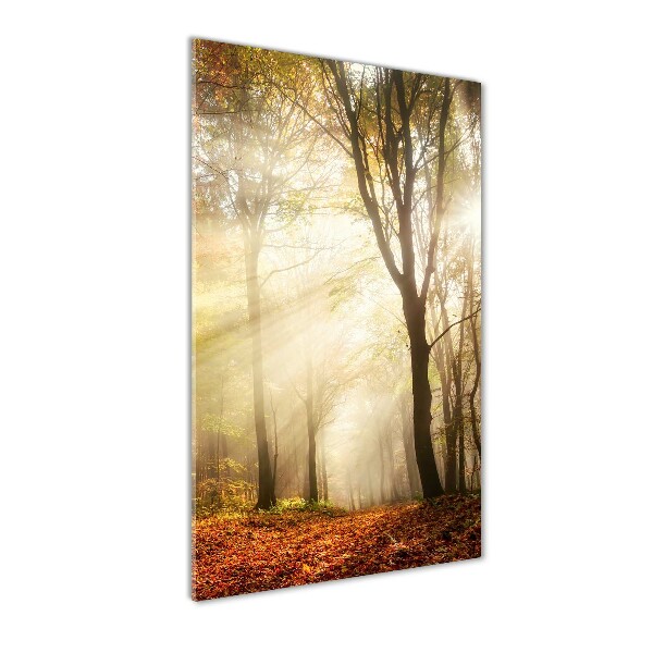 Quadro vetro acrilico verticale Foresta in autunno