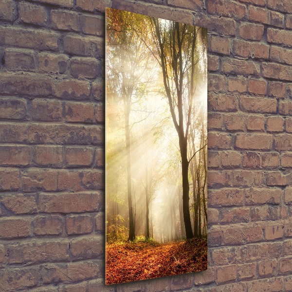 Quadro vetro acrilico verticale Foresta in autunno