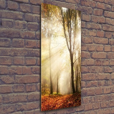 Quadro vetro acrilico verticale Foresta in autunno