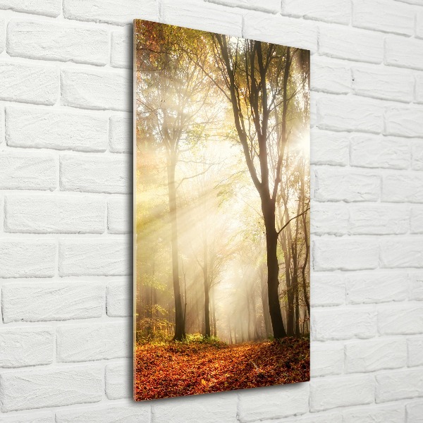 Quadro vetro acrilico verticale Foresta in autunno