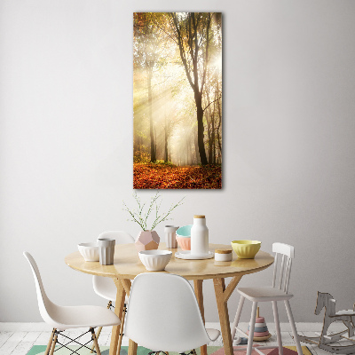 Quadro vetro acrilico verticale Foresta in autunno