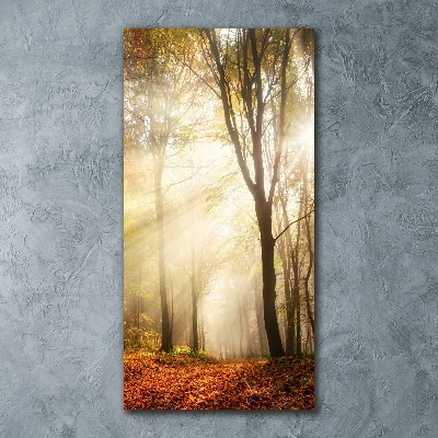 Quadro vetro acrilico verticale Foresta in autunno