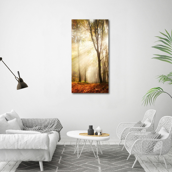 Quadro vetro acrilico verticale Foresta in autunno