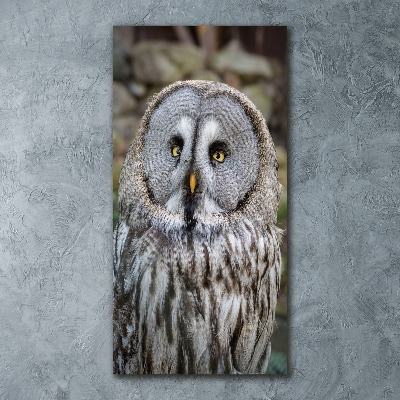 Quadro stampa su vetro acrilico verticale Gufo
