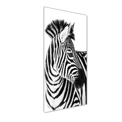 Quadro vetro acrilico verticale Zebra nella neve