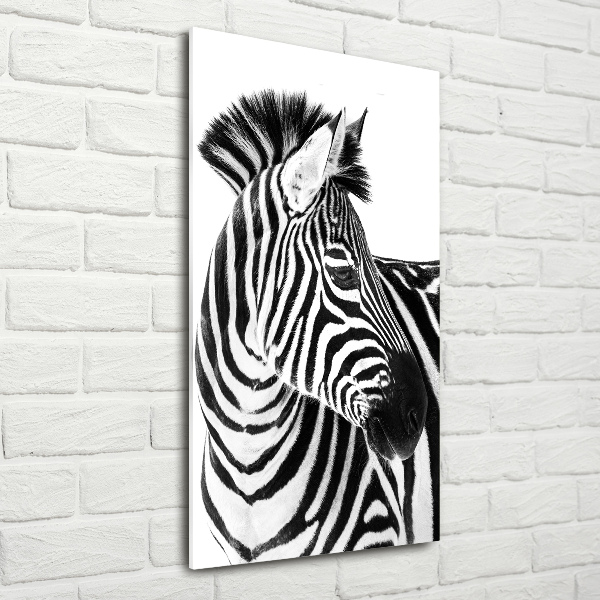 Quadro vetro acrilico verticale Zebra nella neve