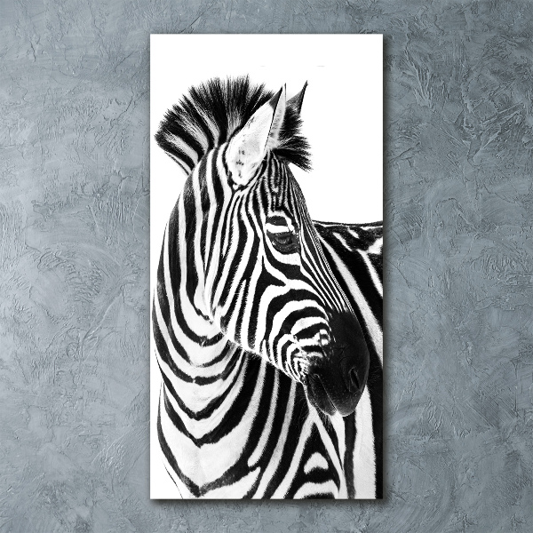 Quadro vetro acrilico verticale Zebra nella neve
