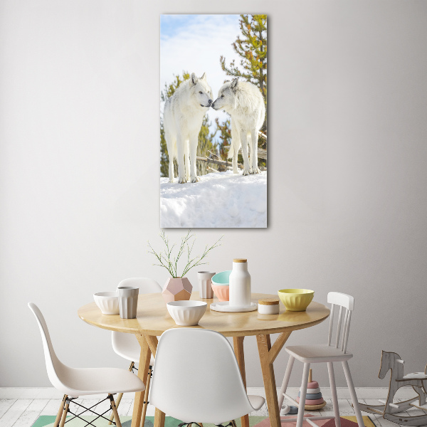 Quadro in vetro acrilico verticale Due lupi bianchi