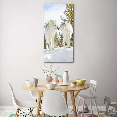 Quadro in vetro acrilico verticale Due lupi bianchi