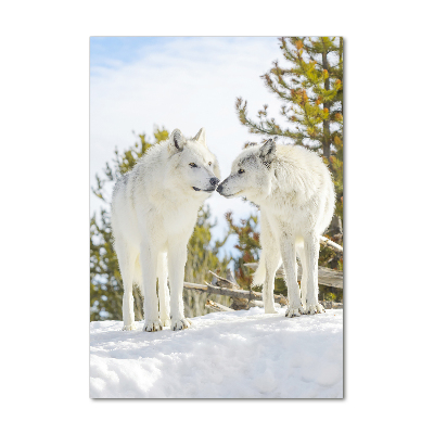 Quadro in vetro acrilico verticale Due lupi bianchi
