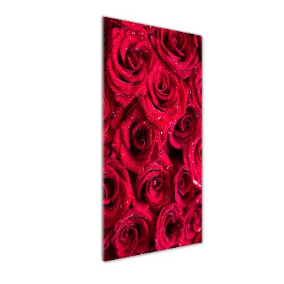 Quadro vetro acrilico verticale Rose rosse