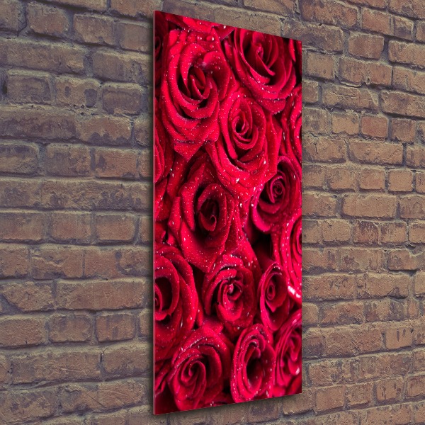 Quadro vetro acrilico verticale Rose rosse