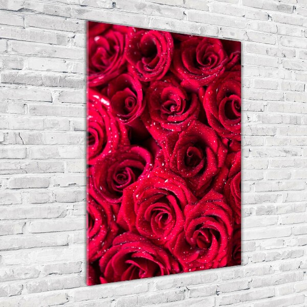 Quadro vetro acrilico verticale Rose rosse