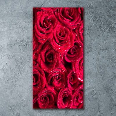 Quadro vetro acrilico verticale Rose rosse