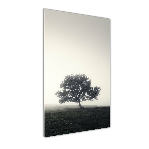 Quadro vetro acrilico verticale Albero nella nebbia
