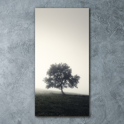 Quadro vetro acrilico verticale Albero nella nebbia