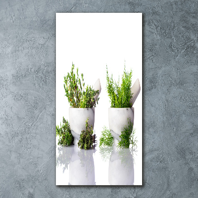 Quadro vetro acrilico verticale Mortai ed erbe