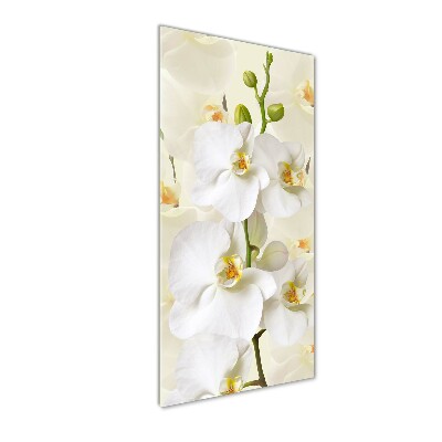 Quadro in vetro acrilico verticale Orchidea bianca
