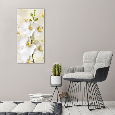 Quadro in vetro acrilico verticale Orchidea bianca