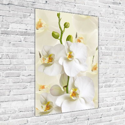 Quadro in vetro acrilico verticale Orchidea bianca