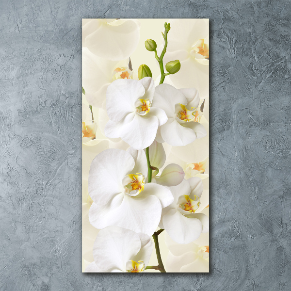 Quadro in vetro acrilico verticale Orchidea bianca