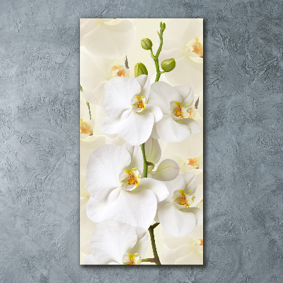 Quadro in vetro acrilico verticale Orchidea bianca