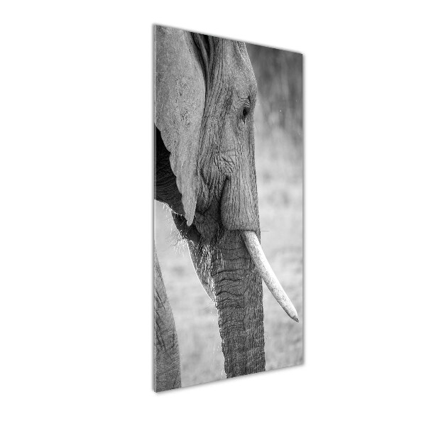 Quadro in vetro acrilico verticale Elefante